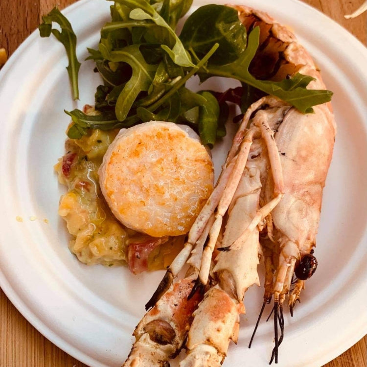 JADRANSKE DOBROTE NA ŽARU