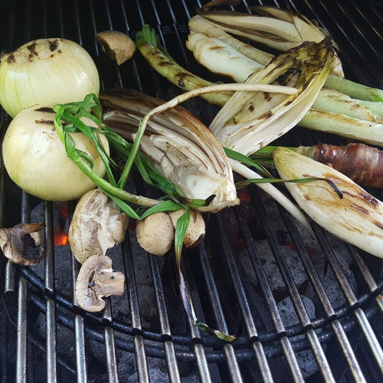 KLASIČNA JELA S ROŠTILJA