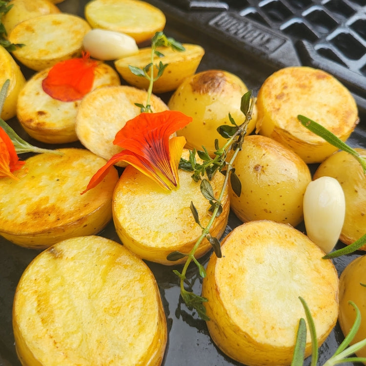 KLASIČNA JELA S ROŠTILJA