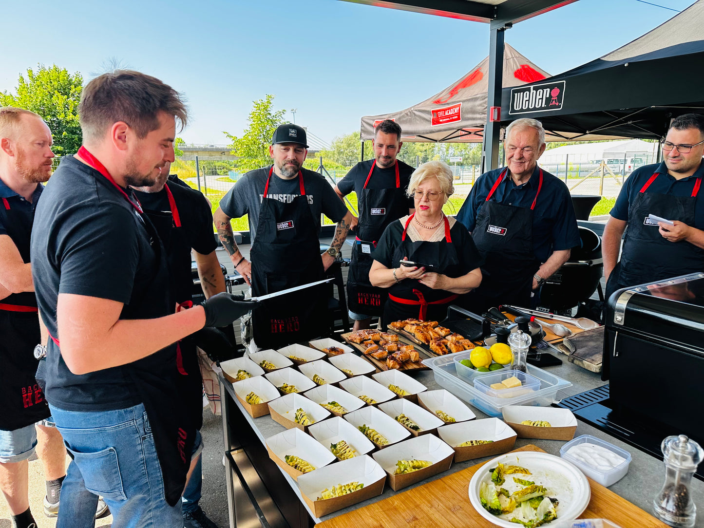 OSNOVE PEKE NA ŽARU